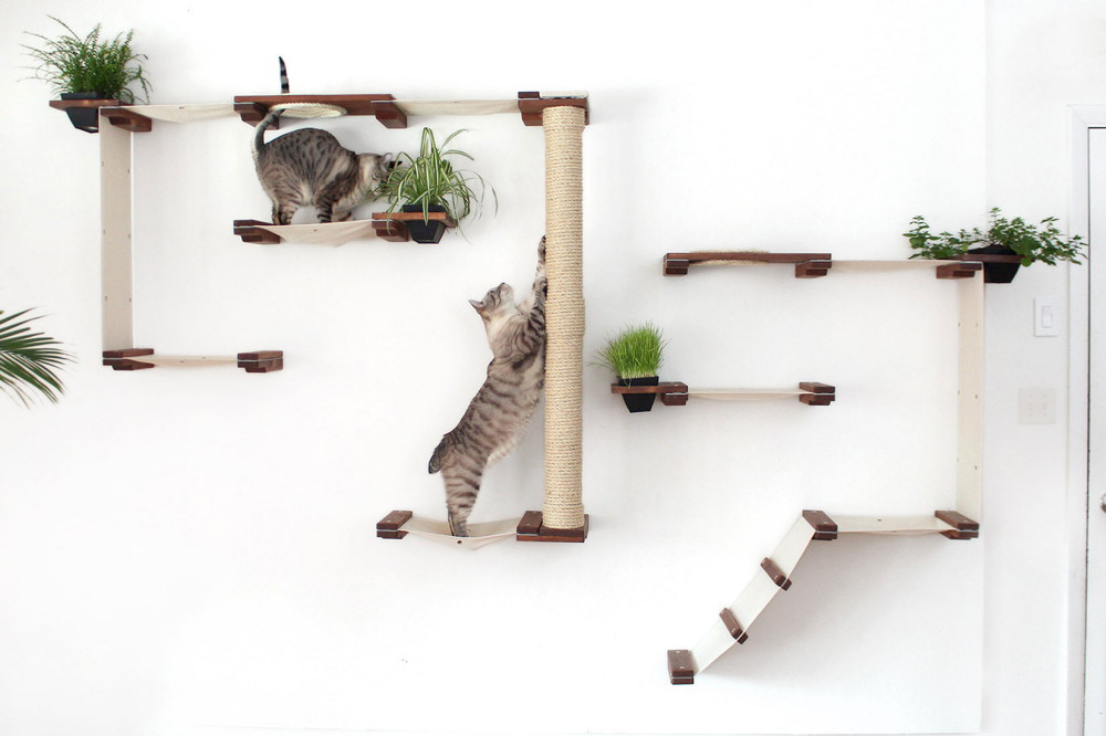 用極簡模組幫你家貓主子打造完美生活空間！