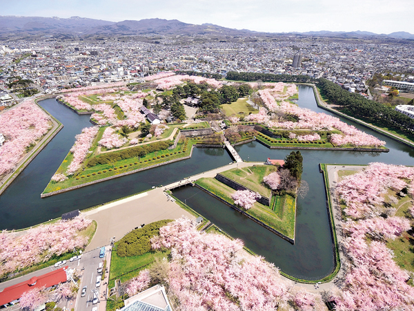 由南到北 出走日本本州的櫻花之旅！2019沖繩、北海道賞櫻名勝特搜！