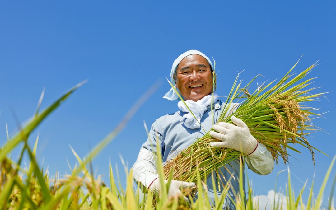 【好食材】為自己認真煮一鍋好米