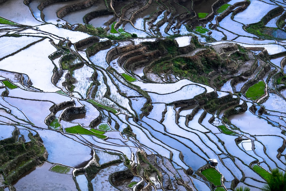 【好生活】在世界各地實現的里山夢