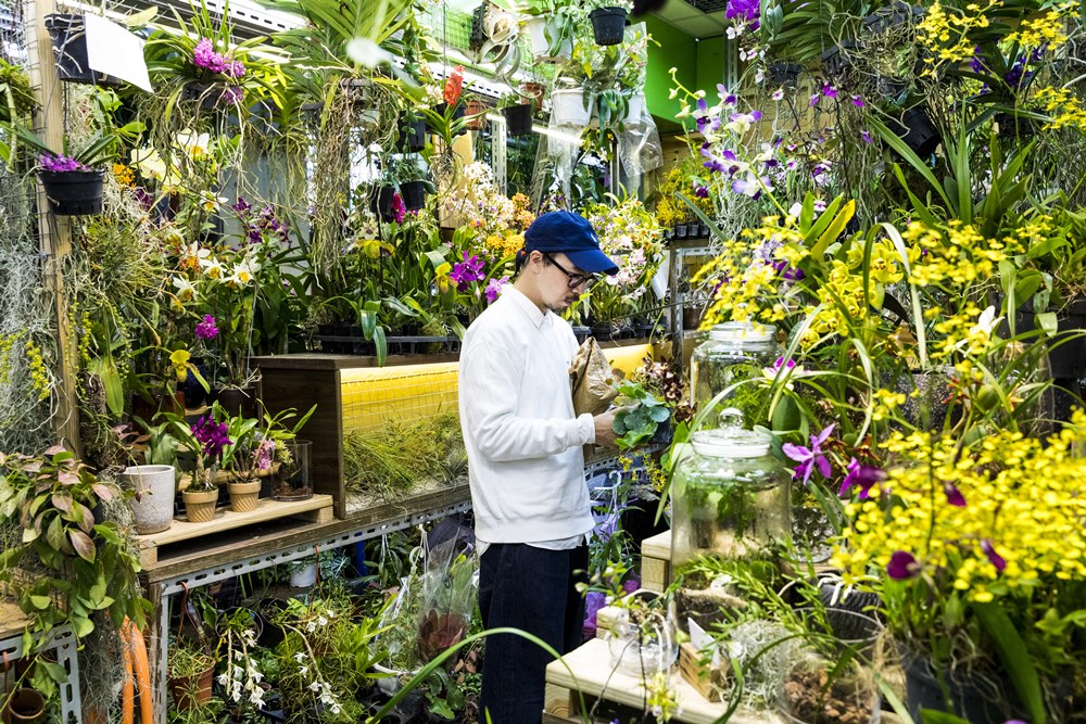 【趣生活】跟著達人逛花市