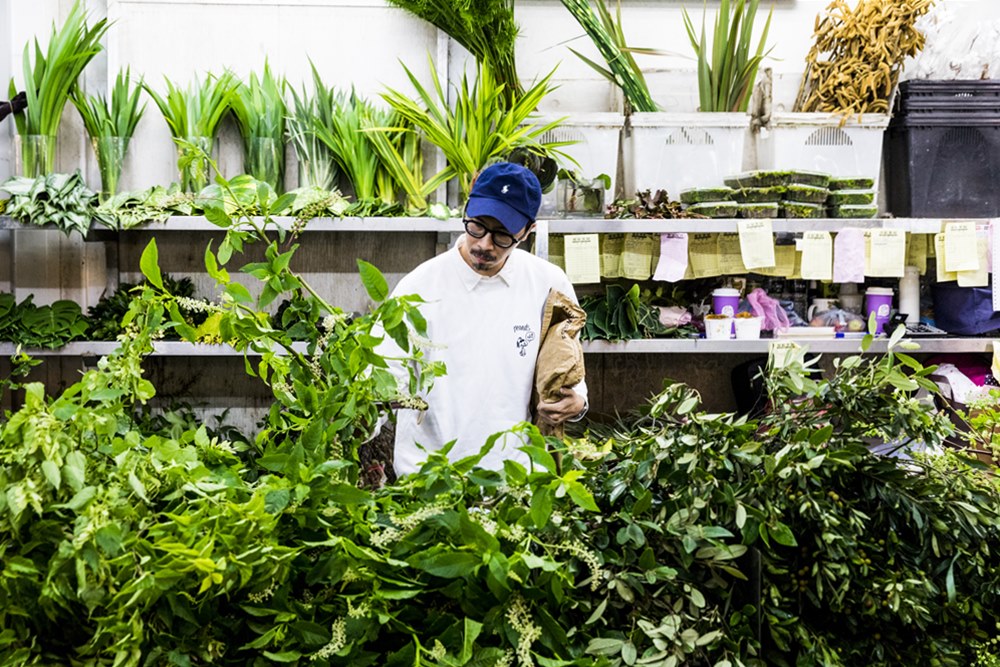 【趣生活】花藝專家到我家：原來買回家的花草要這樣照顧