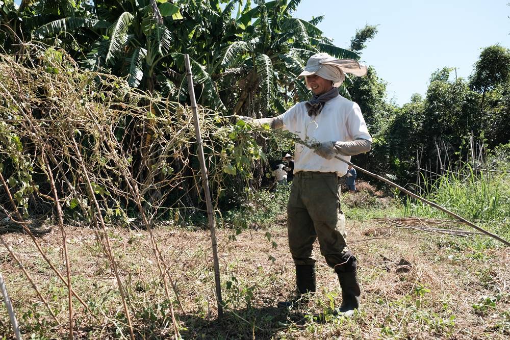 看人物 陳惠雯 黎旭瀛 自然農法 讓我變成一個更好的自己 居心誌