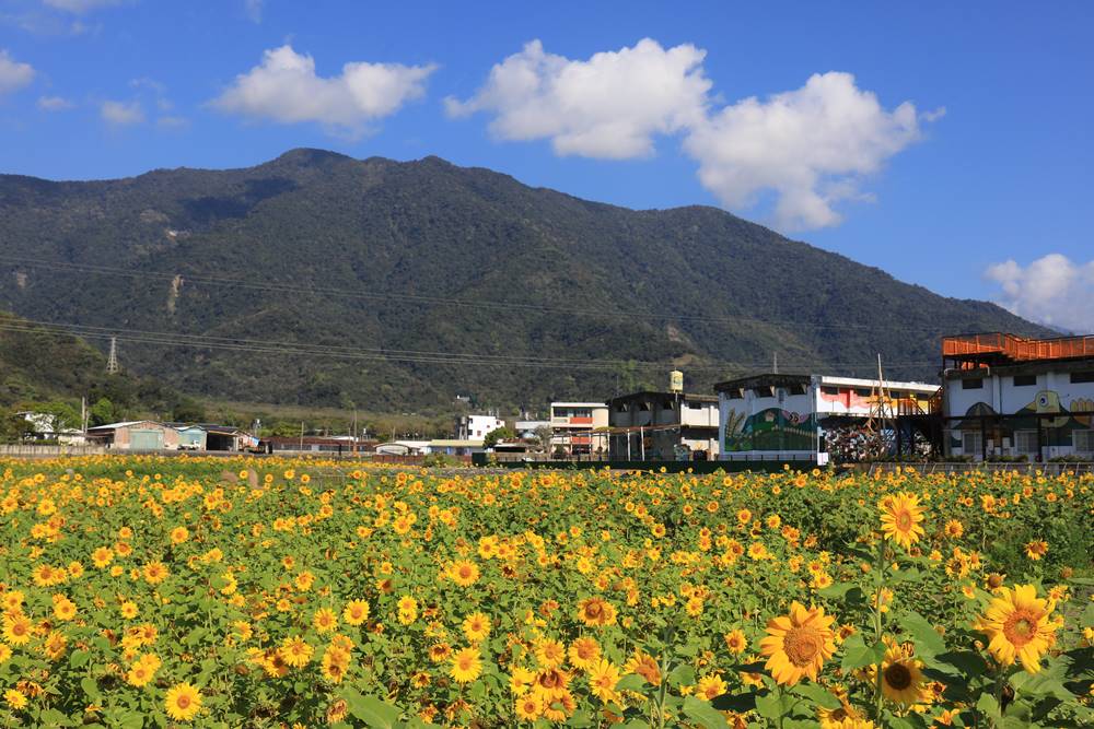 【Glocalization】地方創生私房漫旅：漫遊關山小鎮的歲月靜好