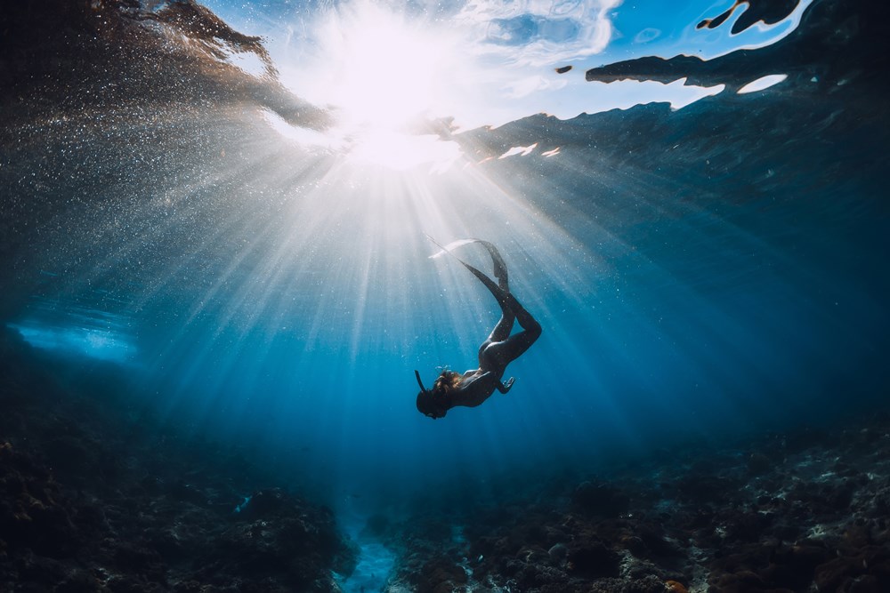 【運動趣】自由潛水 用最溫柔的方法探索水下世界