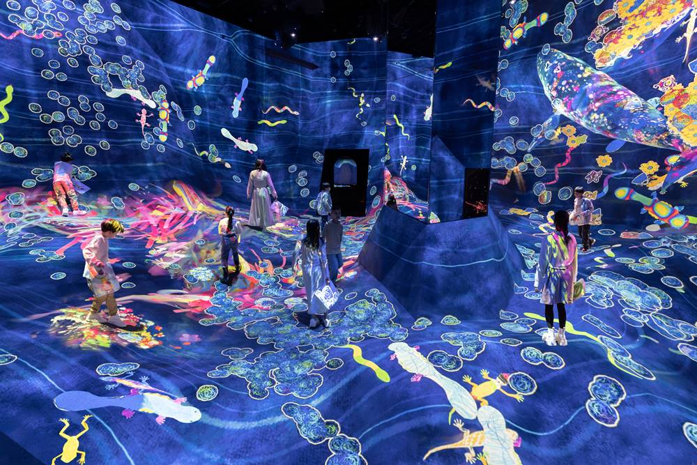 【看展覽】走進 teamLab Planets TOKYO DMM──在光與水的邊界，重新感覺自己的存在