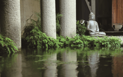 【宗教建築的現代性】台灣當代佛寺的靜觀美學