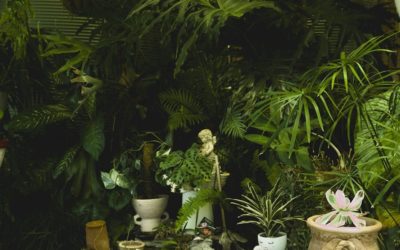 【小書房】室內的身心小宇宙：門扉之內的花園