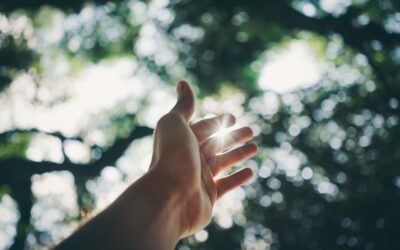 【小書房】鬆開握緊的拳頭!《張開的手》獻給焦慮靈魂的隨順生活提案